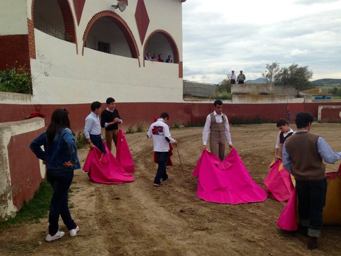 Escuela taurina