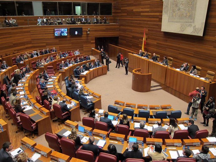 Pleno De Las Cortes De Castilla Y León.