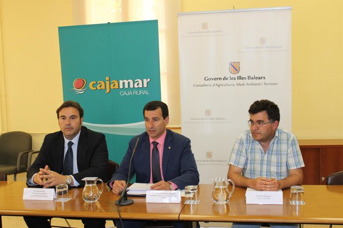 Company, Jaume Julià, y Joan Simonet