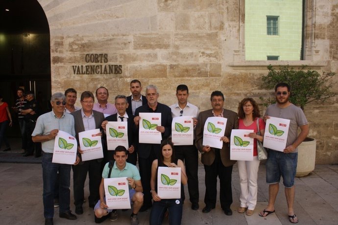 Alcaldes de la Ribera frente a las Corts