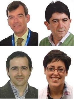 Investigadores de la RIC