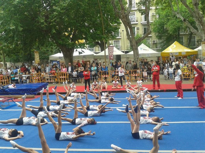 Escuela deportiva en Sevilla