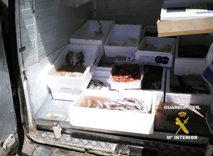 Venta ambulante pescado