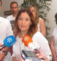 PSOE-A exige a Zoido una explicación urgente de por qué "ocultó" al Parlamento  su "sobresueldo"