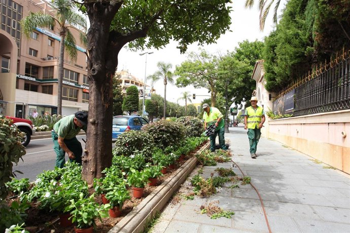 Operativos trabajando en la plantación de las jardineras 