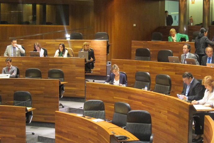 Pleno de la Junta General