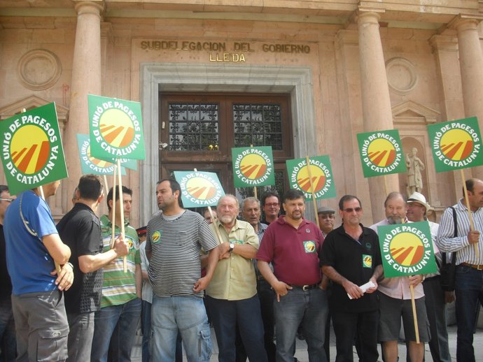 Concentración de agricultores en la subdelegación del Gobierno en Lleida
