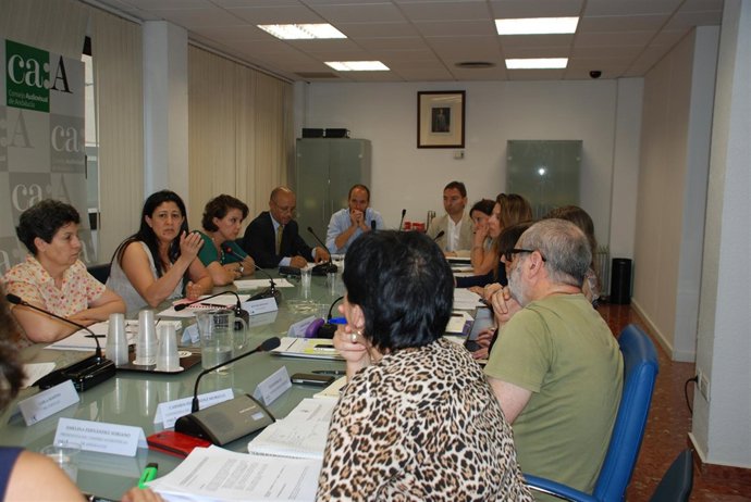 Grupo de Trabajo del CAA y del RIMR