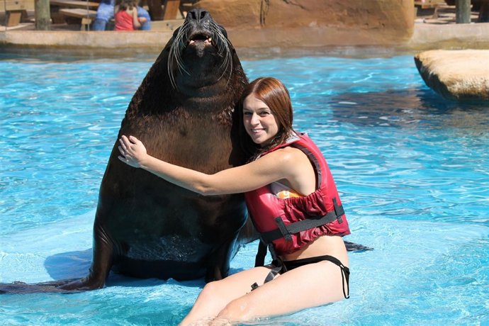 Una joven se baña con un león marino en Selwo Marina 