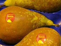 Pera de Lleida