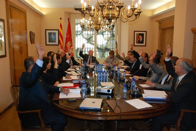 Pleno Del Conselh Generau D'aran