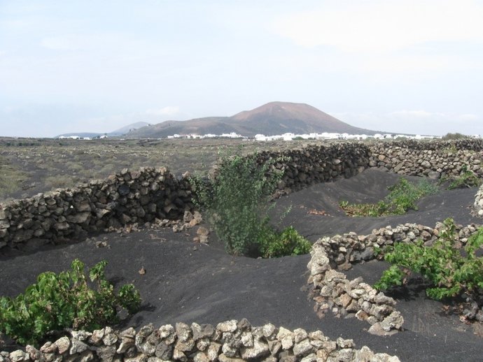 La Geria (Lanzarote)