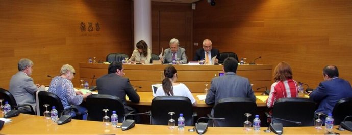 Coordinación, Organización y Régimen de las Instituciones de la Generalitat 