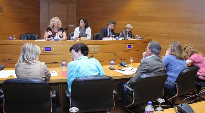 La presidenta de la Confederación Gonzalo Anaya en una comisión de las Corts