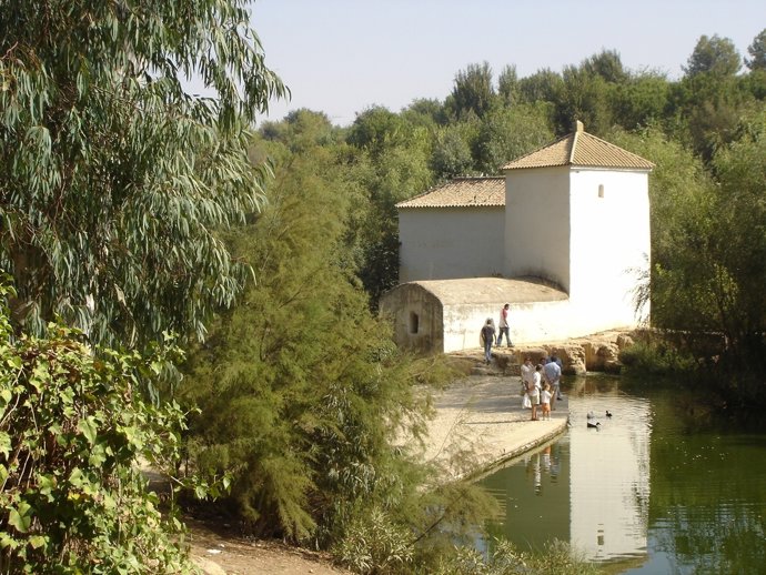 Imagen de uno de los molinos harineros junto al río Guadaíra. 