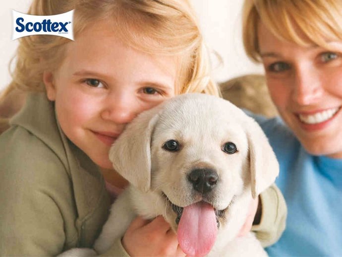 SCOTTEX AHORRO PARA LAS FAMILIAS