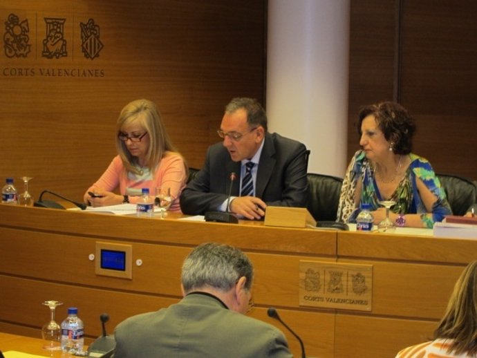 Rafael Carbonell en la Comisión de las Corts