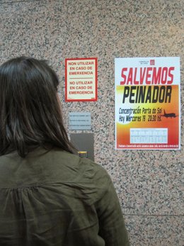 Vigo Cartel Peinador