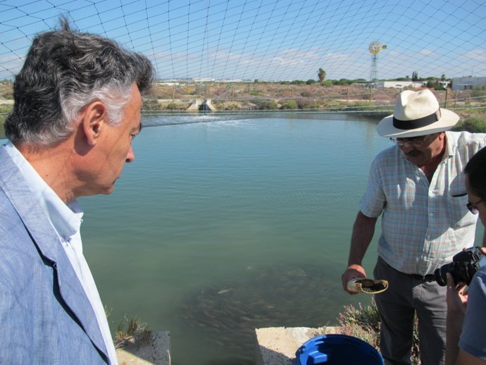 Centro Ifapa El Toruño