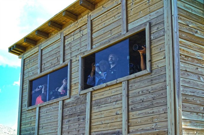 Observatorio de aves carroñeras en El Espinar