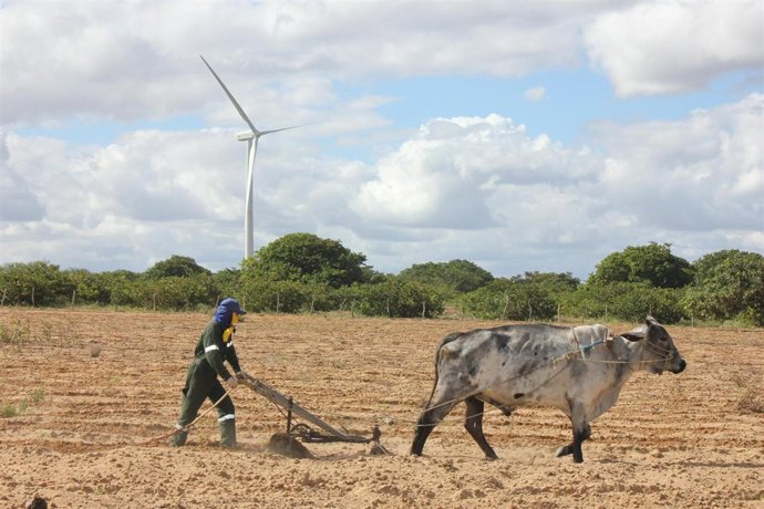 Iberdrola y Neonergía ponen en marcha en Brasil el proyecto social 'Leilao 2010'