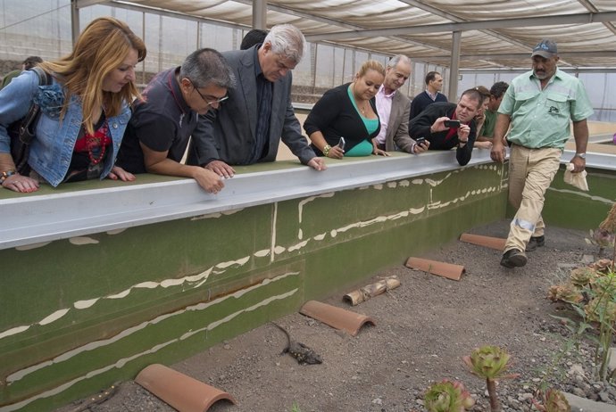 Nuevo centro de investigación