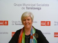 El PSOE pide la destitución del director del CIMA por achacar la mejora del aire al cierre de Viscocel
