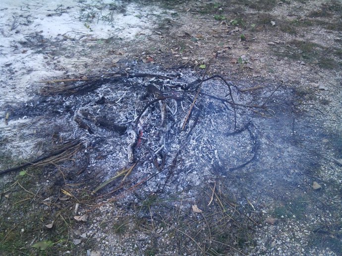 Restos de quemas vegetales