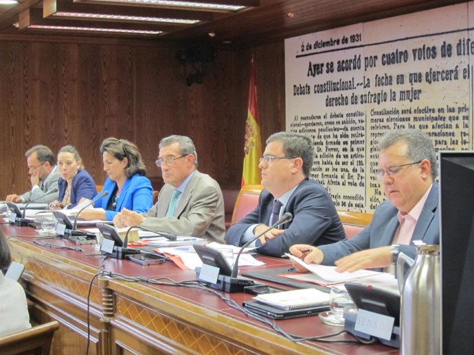 Isabel Borrego, en la Comisión de Industria del Senado