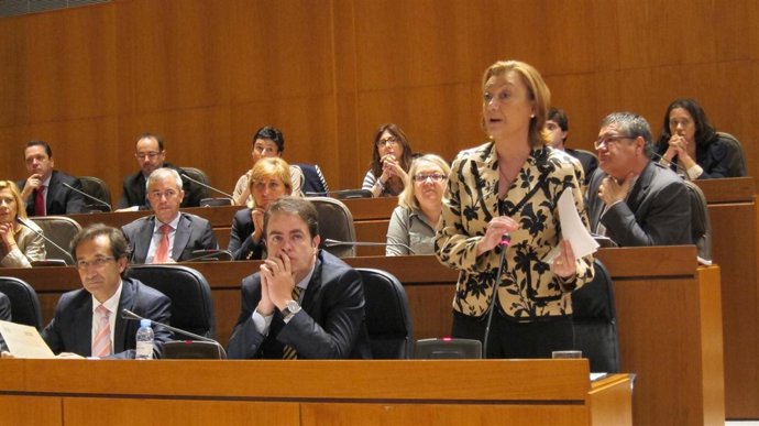 Luisa Fernanda Rudi, en la sesión plenaria