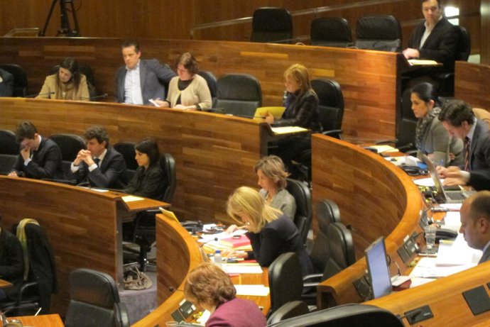 Pleno Junta General 8 de marzo de 2013