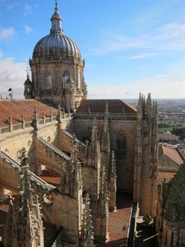 Imagen de la Catedral de Salamanca desde la Torre de las Campanas