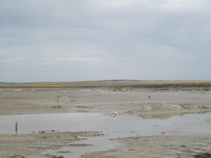 Las Saladas de Sástago 