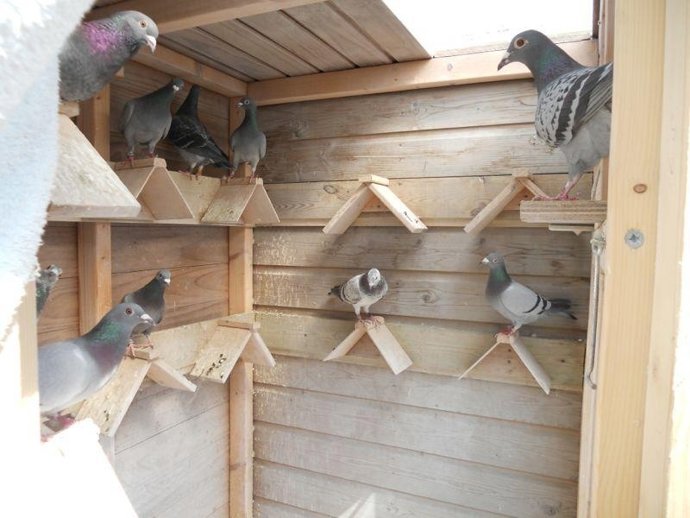 Interior de uno de los palomares 