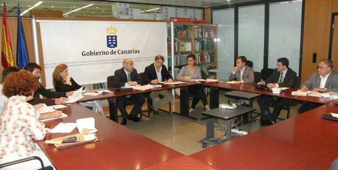 Un instante de la reunión