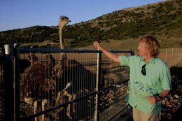 Avestruces Ronda. Ian