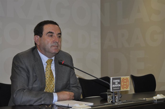 El diputado del Grupo Socialista de las Cortes de Aragón, Alfonso Vicente.