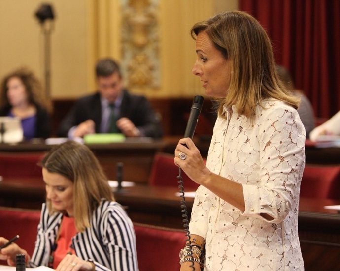 Mabel Cabrer en rueda de prensa