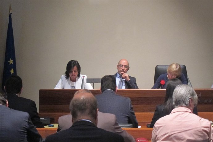 María Jesús Álvarez en una comisión en la Junta General