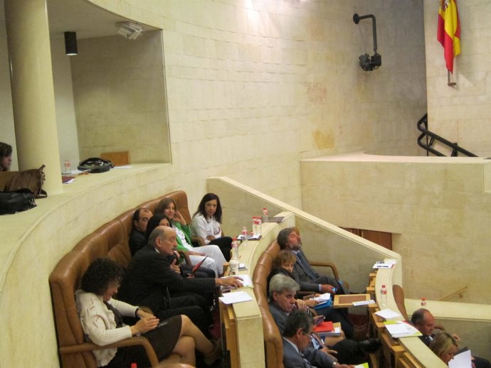 El grupo parlamentario regionalista