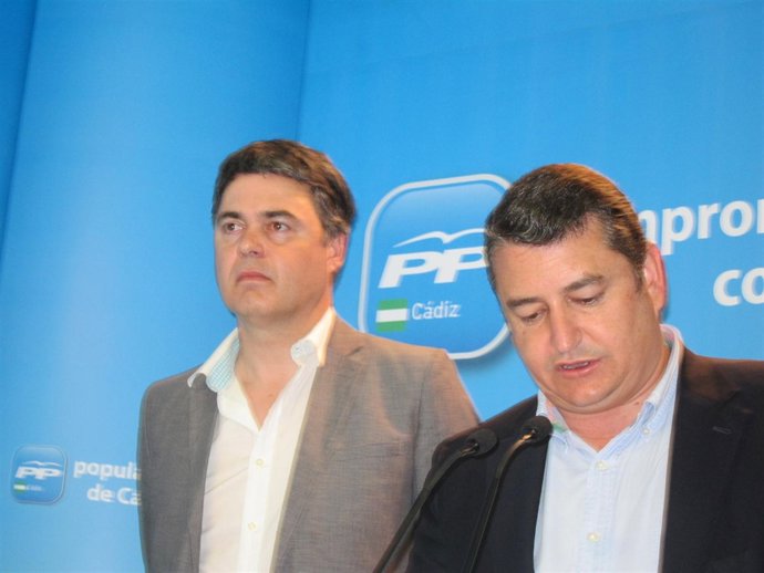Antonio Sanz, presidente provincial del PP de Cádiz
