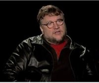 Sobrino del cineasta Guillermo Del Toro, en coma tras fiesta en una piscina