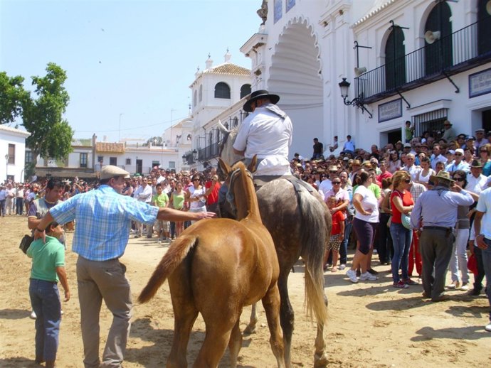 Saca de las yeguas en la aldea de El Rocío, en  Almonte. 