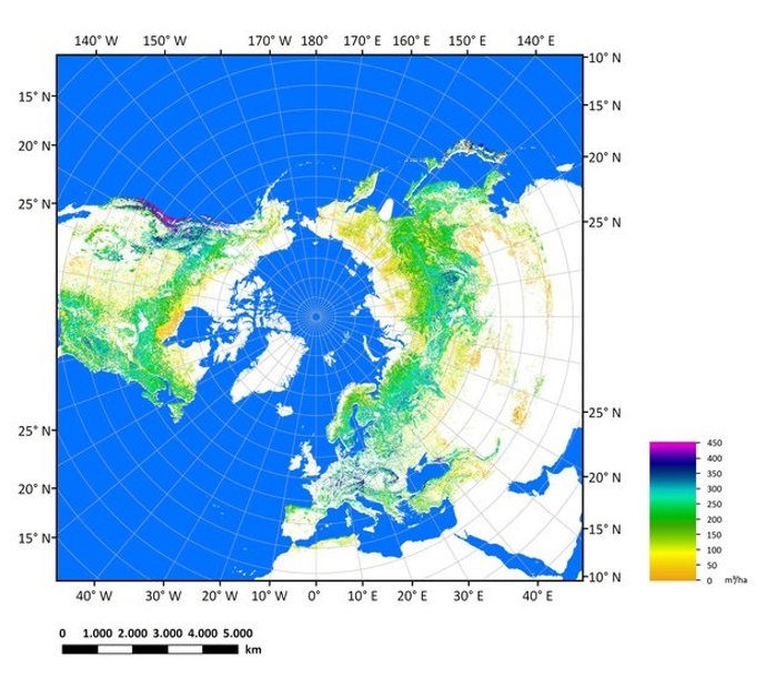 Mapa de biomasa en el hemisferio norte