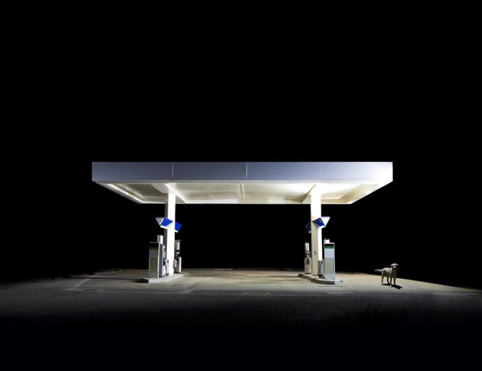 Muestra de Fotonoviembre