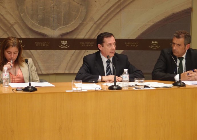 Javier Erro, consejero de Industria en el Parlamento   