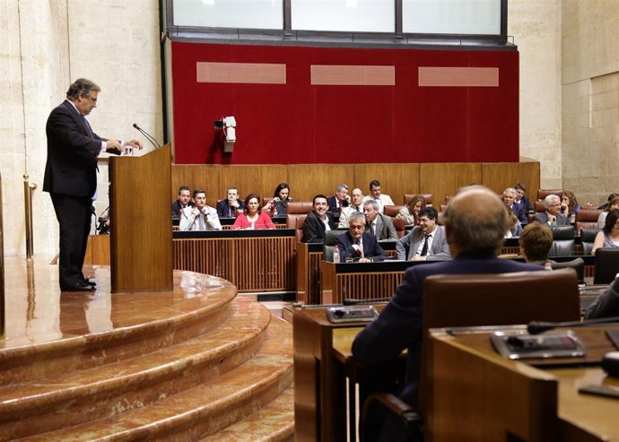El presidente del PP-A, Juan Ignacio Zoido, en el Debate de Estado de la CCAA