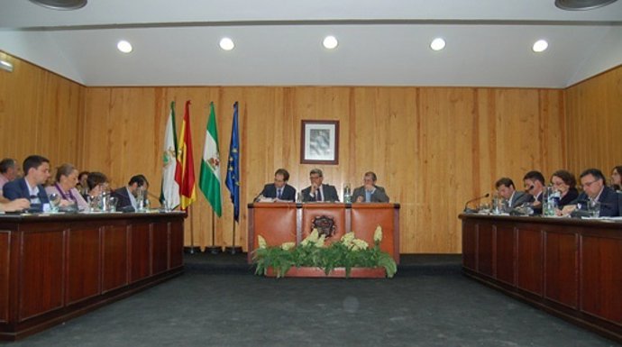 Pleno del Ayuntamiento de Mairena del Aljarafe.