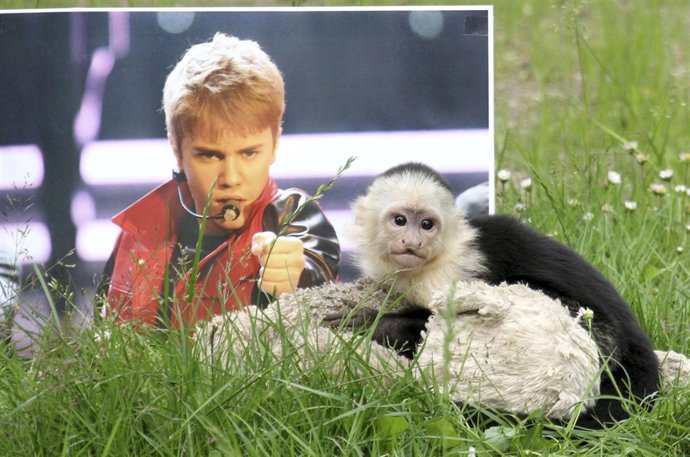 Mally, exmono de Justin