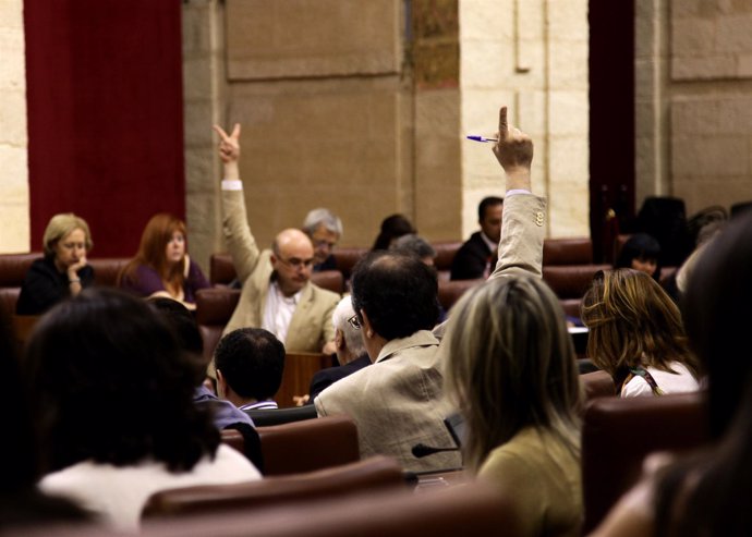 Un momento de la votación de las propuestas